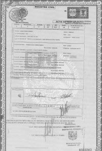 adoption documents